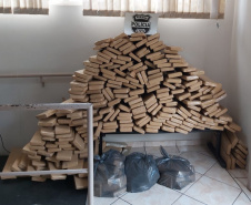 PCPR apreende 551 quilos de maconha em Foz do Iguaçu