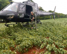 Polícia Civil comemora quatro anos de criação de seu grupamento aéreo