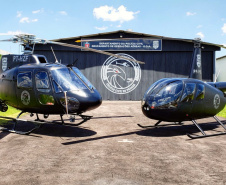 Polícia Civil comemora quatro anos de criação de seu grupamento aéreo