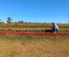 Horta da PIC ganha conceito de reaproveitamento e sustentabilidade