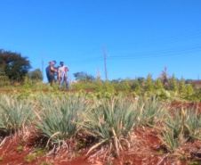 Horta da PIC ganha conceito de reaproveitamento e sustentabilidade