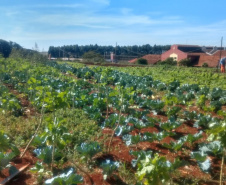 Horta da PIC ganha conceito de reaproveitamento e sustentabilidade