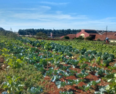 Horta da PIC ganha conceito de reaproveitamento e sustentabilidade