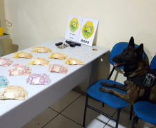 PM cumpre 16 mandados de Busca e Apreensão e apreende mais de R$ 33 mil com a operação Reservada, na RMC