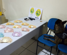 PM cumpre 16 mandados de Busca e Apreensão e apreende mais de R$ 33 mil com a operação Reservada, na RMC