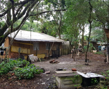 Polícia Ambiental fiscaliza área de preservação permanente na Ilha do Mel, no litoral do Paraná