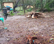 Polícia Ambiental fiscaliza área de preservação permanente na Ilha do Mel, no litoral do Paraná