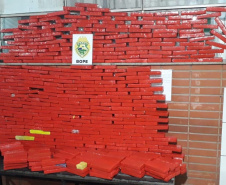 BOPE faz duas apreensões de maconha e retira mais de 230 quilos de droga de circulação em Curitiba e RMC