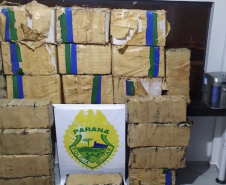 BPRv apreende mais de meia tonelada de maconha no noroeste do Paraná