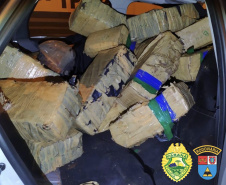 BPRv apreende mais de meia tonelada de maconha no noroeste do Paraná