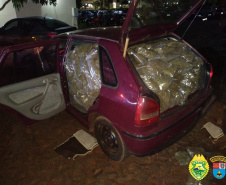  PM apreende 250 quilos de maconha e duas armas de fogo no Oeste do estado 