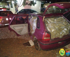  PM apreende 250 quilos de maconha e duas armas de fogo no Oeste do estado 