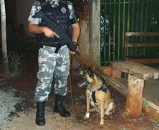 Polícia prende envolvidos com tráfico e lavagem de dinheiro