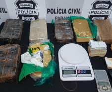 Polícia Civil de Ponta Grossa prende autores de homicídios em série