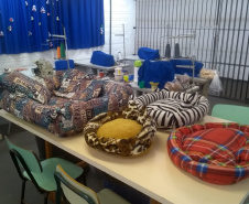 Penitenciária Feminina de Foz reaproveita materiais para confeccionar sacolas e camas para animais abandonados