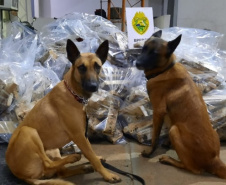  BPFron completa oito ano de combate ao tráfico de drogas e ao contrabando