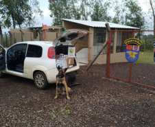  BPFron completa oito ano de combate ao tráfico de drogas e ao contrabando