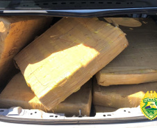  BPRv apreende mais de meia tonelada de maconha ao atender ocorrências distintas no Noroeste do estado 