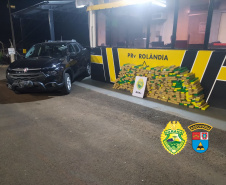 Com duas abordagens, Batalhão Rodoviário apreende mais de 700 quilos de maconha no Interior do estado