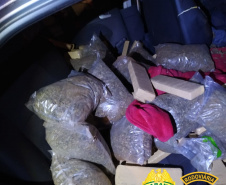 Com duas abordagens, Batalhão Rodoviário apreende mais de 700 quilos de maconha no Interior do estado
