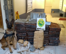 Mais de 1,5 tonelada de maconha são apreendidas pelo BPFron no oeste do Paraná
