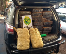 Mais de 1,5 tonelada de maconha são apreendidas pelo BPFron no Oeste do estado