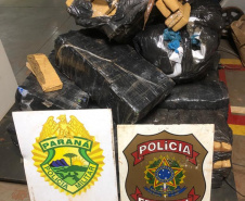 Equipes da Operação Hórus apreendem 300 quilos de maconha em Guaíra