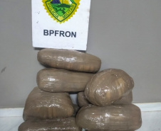 Mais de 25 quilos de maconha são apreendidos pelo BPFron no Oeste do estado