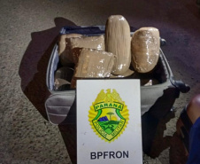 Mais de 25 quilos de maconha são apreendidos pelo BPFron no Oeste do estado