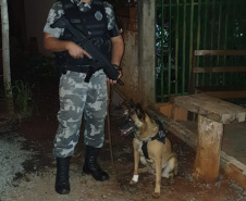 PM e GAECO deflagram terceira fase da Operação Sicário e prendem dois por envolvimento com tráfico e lavagem de dinheiro