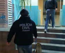 Polícia Civil autua médica veterinária por maus-tratos a Pitbulls