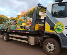 PM apreende mais de três toneladas de maconha em área rural de Toledo, no oeste do Paraná