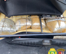 PRE apreende 20 quilos de skunk e 150 quilos de maconha no Interior do estado durante o fim de semana