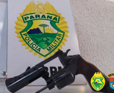 Com ajuda de cães, PM apreende mais de 38 toneladas de maconha