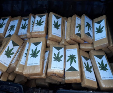  Polícia apreende 70 toneladas a mais de drogas no primeiro semestre
