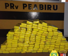 PRE apreende 20 quilos de skunk e 150 quilos de maconha no Interior do estado durante o fim de semana