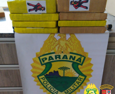 PRE apreende 20 quilos de skunk e 150 quilos de maconha no Interior do estado durante o fim de semana
