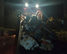 PM apreende mais de três toneladas de maconha em área rural de Toledo, no oeste do Paraná