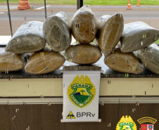 PRE apreende 20 quilos de skunk e 150 quilos de maconha no Interior do estado durante o fim de semana