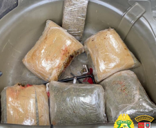 PRE apreende 20 quilos de skunk e 150 quilos de maconha no Interior do estado durante o fim de semana