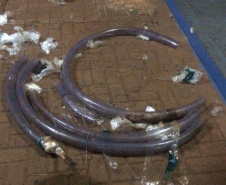 Em Foz do Iguaçu, agentes penitenciários impedem arremesso de 30 celulares e drogas