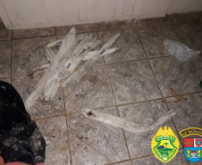 Nos Campos Gerais, PM encontra artefatos explosivos e miguelitos após denúncia anônima