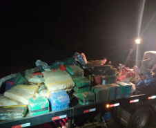 PM apreende mais de três toneladas de maconha em área rural de Toledo, no oeste do Paraná