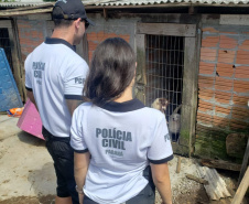 PCPR resgata cerca de 400 animais no primeiro semestre de 2020 