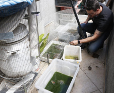 PCPR resgata cerca de 400 animais no primeiro semestre de 2020 