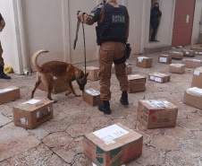 	Depen e PM apreendem maconha, cocaína e LSD que seriam entregues a preso de Francisco Beltrão