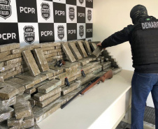 Denarc apreende 200 quilos de maconha em chácara na RMC