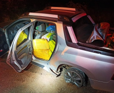 PM apreende mais de três toneladas de maconha em área rural de Toledo, no oeste do Paraná