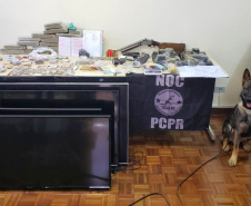 Cães apreendem mais drogas neste ano que a soma de 2018 e 2019