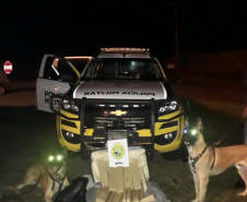 Com ajuda de cães, PM apreende mais de 38 toneladas de maconha